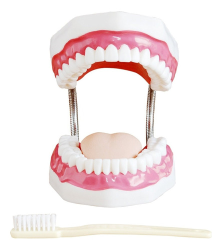 Dentadura De Cuidado Dental, 32 Dientes, Modelo J3c419403a
