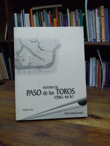 Historia De Paso De Los Toros  1790 1930 - Armua Larraud