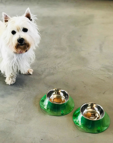 Imagen 4 de 7 de Comedero Modelo Dog Perros/gatos Desmontable