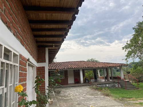 Gran Oportunidad Finca Muy Cerca De Cartago En Venta