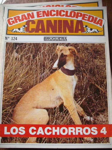 Gran Enciclopedia Canina N° 124 Los Cachorros 4 Bruguera