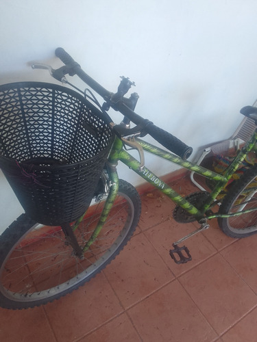 Bicicleta Sin Cambio Color Verde Incluye Canasto