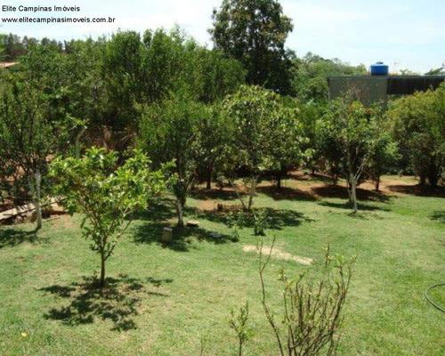 Imagem 3 de 9 de Chacara - Ch00166 - 70381763