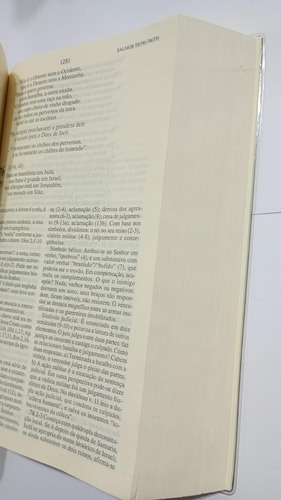 Bíblia Do Peregrino Com Estudos Católica Capa Cristal Brochura - Editora Paulus