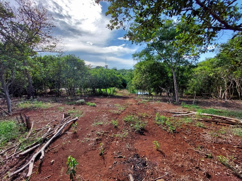 Imagem 9 de 9 de Chácara De 13.709 M² Com Açude À Venda Em Santa Terezinha De Itaipu/pr