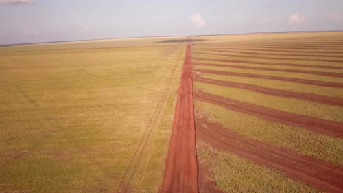 Imagem 7 de 9 de Fazenda À Venda 2 Bilhoes De Reais