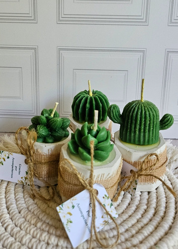 12 Recuerdos Toda Ocasion Velas De Suculenta Personalizada