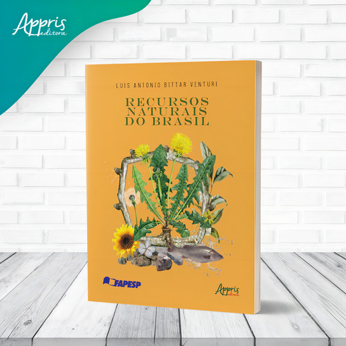 Recursos naturais do Brasil, de Venturi, Luis Antonio Bittar. Editorial Appris Editora e Livraria Eireli - ME, capa mole em português, 2021