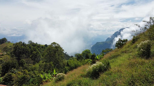 Se Vende Lote Independiente En Jericó Antioquia, Espectacular Vista