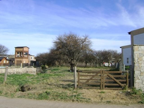 Imagen 6 de 6 de Lote | Entrada A13