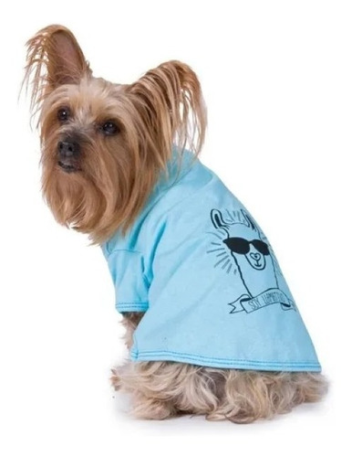 Imagen 1 de 5 de Remera Llama / Ropa De Perro/ Kaspet/