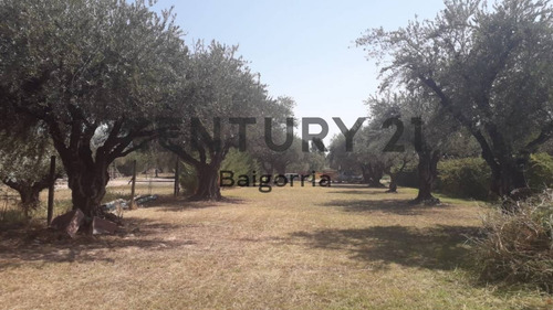 Imagen 8 de 15 de Terreno En Venta -barrio Cerrado Ecos De Olivares - Russel - Maipú Id: 46457