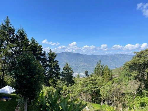 Imagen 7 de 10 de Finca En Santa Elena Escrituras 100% 650 Millones