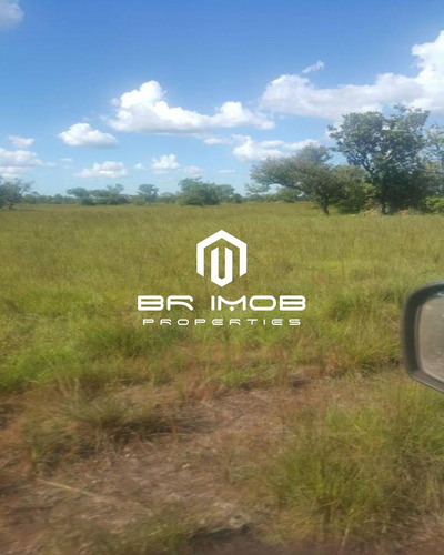 Imagem 8 de 12 de Fazenda - Fa00004 - 70538214
