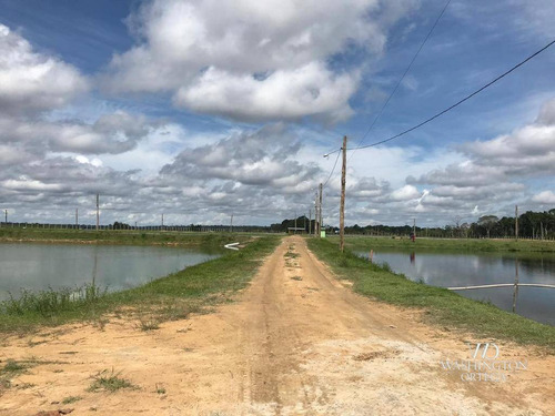 Imagem 16 de 30 de Fazenda Com 4 Dormitórios À Venda, 2460000 M² Por R$ 3.200.000,00 - Itacoatiara - Itacoatiara/am - Fa0001