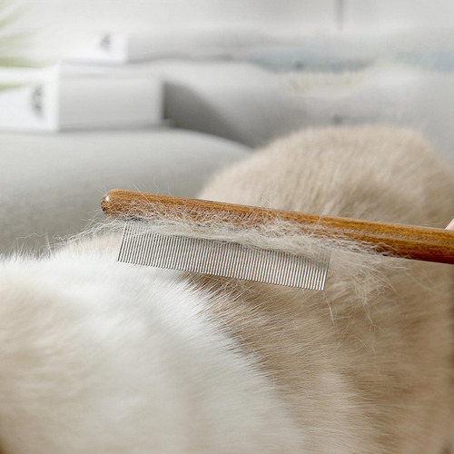 Peine De Madera Maciza Para Mascotas, El Aseo De Gatos