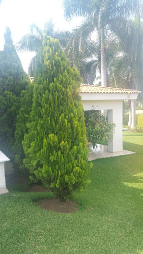 Imagen 9 de 17 de Casa Campestre En Arriendo/venta En Cali Pance. Cod 923