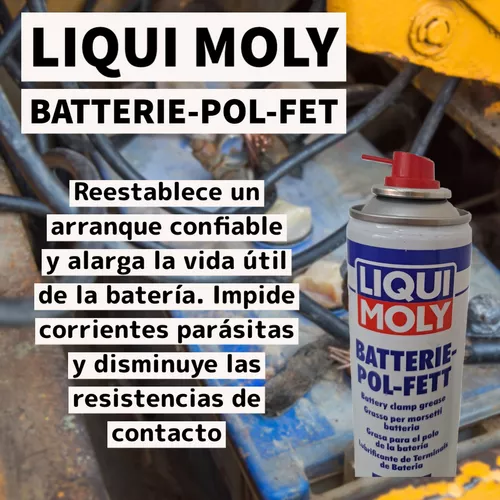 Batterie Pol Fett 3141 