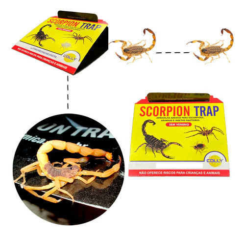 Armadilha Adesiva Para Escorpião Colly Scorpion Trap 3 Und