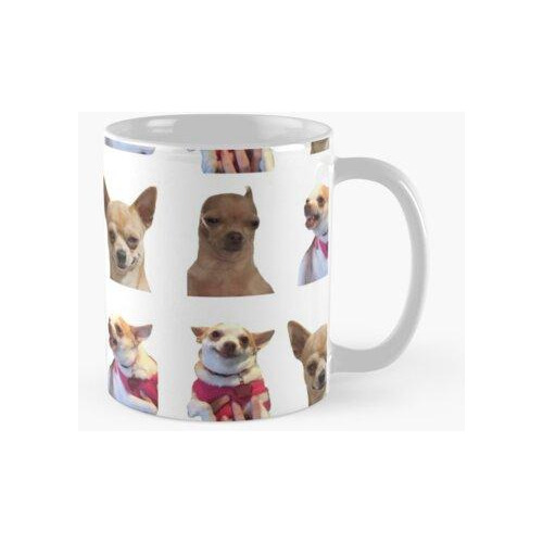 Taza Paquete De Pegatinas Chihuahua Dog Meme Calidad Premium