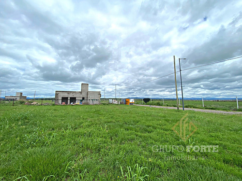 Imagen 9 de 26 de Terreno A La Venta En La Ernestina