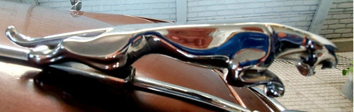 Imagen 4 de 10 de Jaguar Mk2