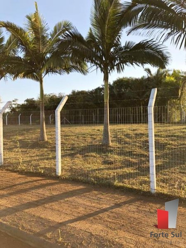 Imagem 3 de 5 de Terreno - Tr072 - 32608425