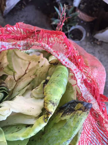 Humus Sólido De Compost Vegetal Puro Por Kilos.