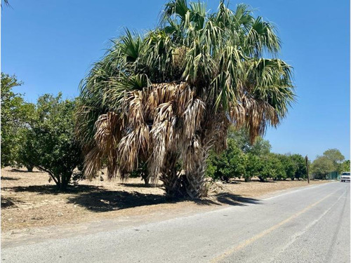 Terreno En Venta En El Barranquito