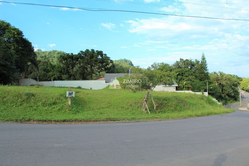 Imagem 11 de 13 de Terreno De Esquina Casemiro De Abreu 866m² Bairro Perpétuo Socorro - 12860
