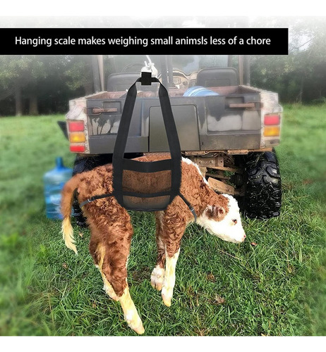Eslinga Para Pantorrillas Para Pesar Animales Pequeños, Cabe
