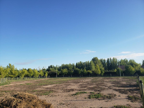 Imagen 3 de 14 de Lote De 1.850 M2 En Barrio 4 Estaciones, Calle Cubillos - Rama Caída