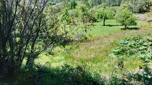 Parcela En Venta En Fresia