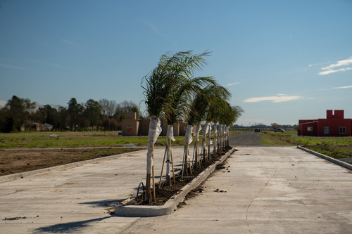 Imagen 3 de 13 de Terreno En Venta De 275m2 Ubicado En Santa Rosa