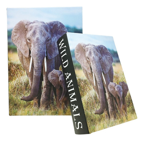 Conjunto Com 2 Caixas Livro Decorativo - África Wild Animals