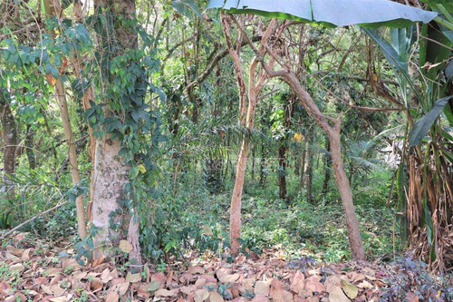Imagem 13 de 30 de Terreno À Venda, 1187 M² Por R$ 910.000,00 - Palos Verdes - Carapicuíba/sp - T06580