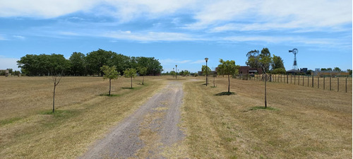 Venta De Terreno En Brandsen