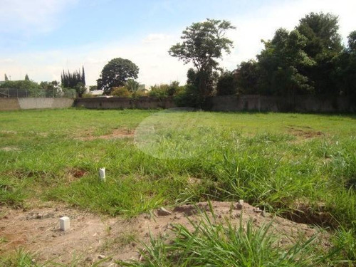 Imagem 1 de 6 de Terreno À Venda Em Vila Modesto Fernandes - Te196817