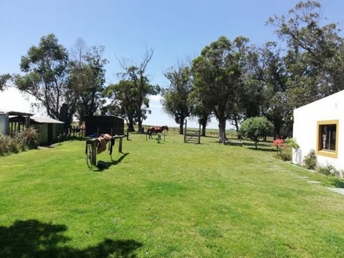Campo En Venta En Rocha Ref. 7123