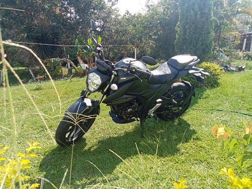 Suzuki 2025