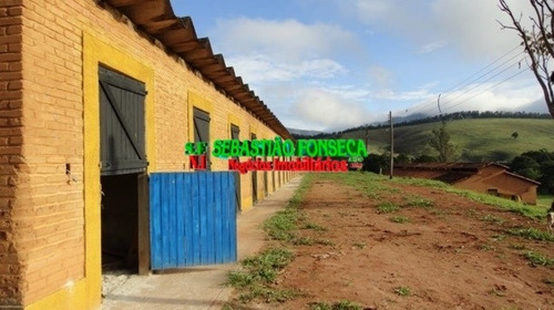 Imagem 8 de 15 de Sítio - Pousada - Haras - Em Pouso Alto / São Lourenço - Mg - 777