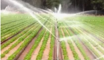 Comprar Sistemas De Rigo Para Produccióones Agricolas