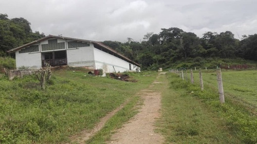 Imagen 4 de 13 de Finca En Montalbán Carabobo Fot-246