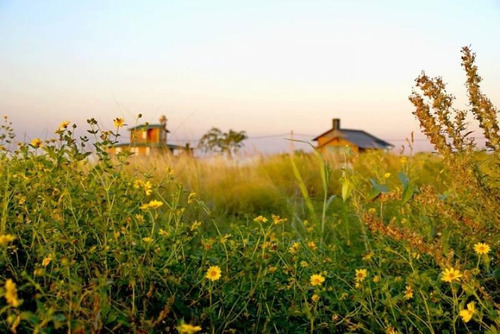 Imagen 2 de 13 de Se Vende Terreno En Col. Mascías C/vista Al Río - San Javier