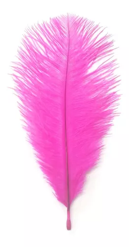 Pluma De Avestruz 20-25cm  Fantasias Miguel – Fantasías Miguel