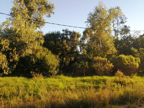 Terrenos A La Venta En Punta Colorada