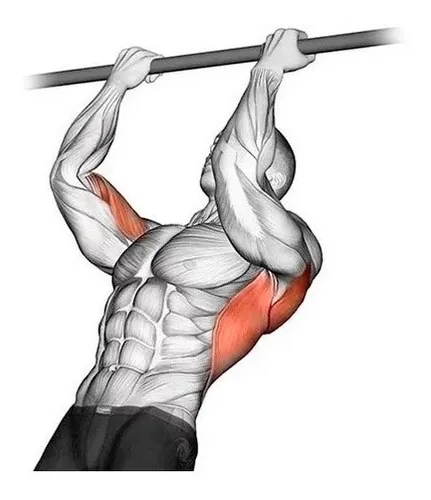 Barra Fixa Parede Crossfit Pull up Chin up Tr ceps Paralelas