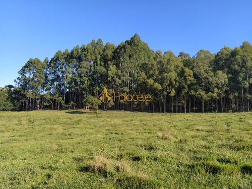 Imagem 1 de 15 de Rural Chacara - 886221-v
