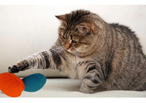 Brinquedo P/ Gato 2 Bolinhas Bolas Com Catnip Feltro