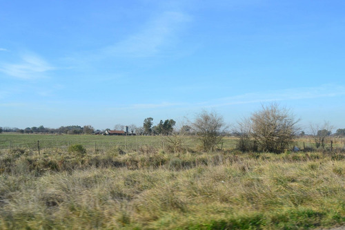 Imagen 6 de 13 de Campo En Venta En Cañuelas Sobre Ruta 6 , Km 99